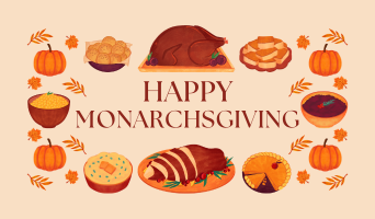 Celebrate Monarchsgiving!